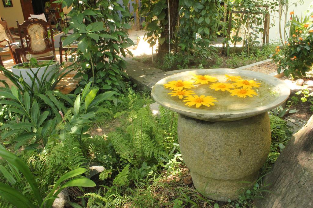 Dionis Villa Unawatuna Zewnętrze zdjęcie